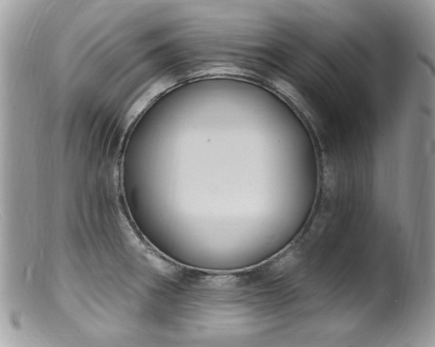 X0000099521282200805151515