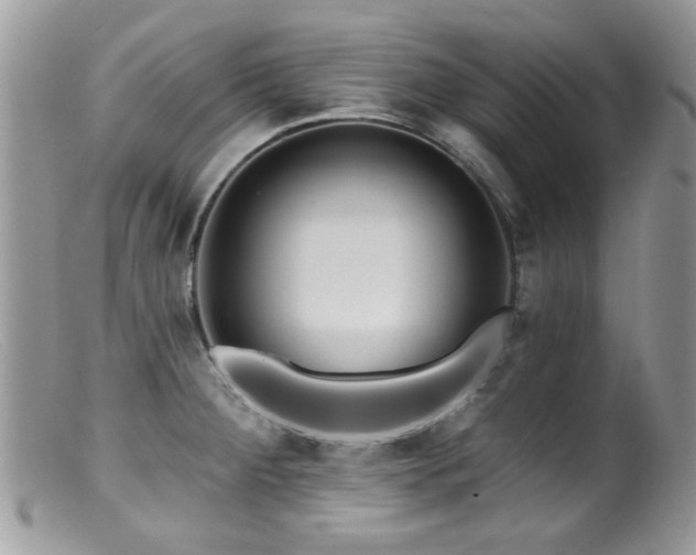 X0000099521284200805151515