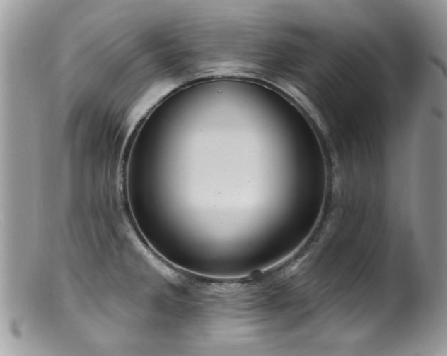 X0000099521285200805151515
