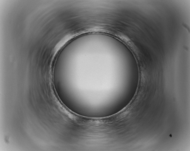 X0000099521286200805151515