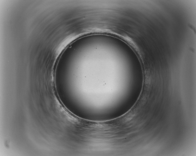 X0000099521287200805151515