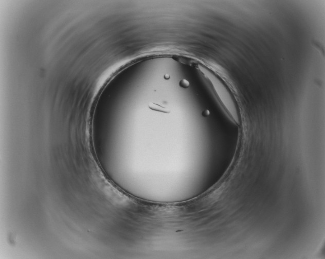 X0000099521288200805151515