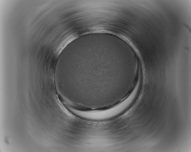 X0000099521289200805151515