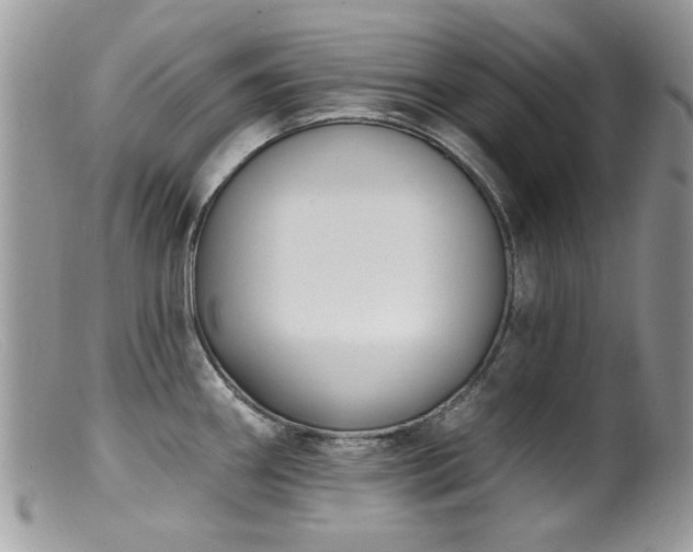 X0000099521290200805151515