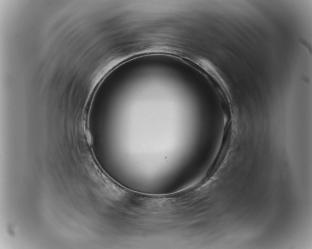 X0000099521292200805151515