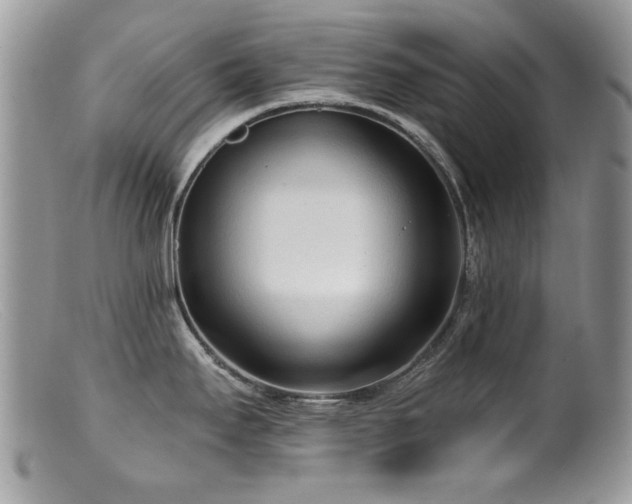 X0000099521295200805151515