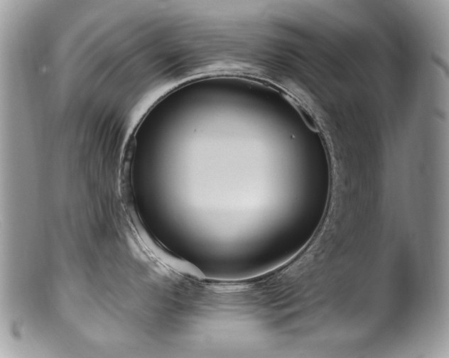 X0000099521296200805151515