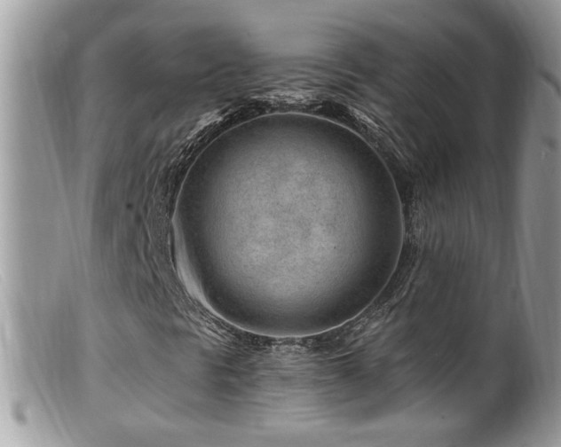 X0000099521297200805151514