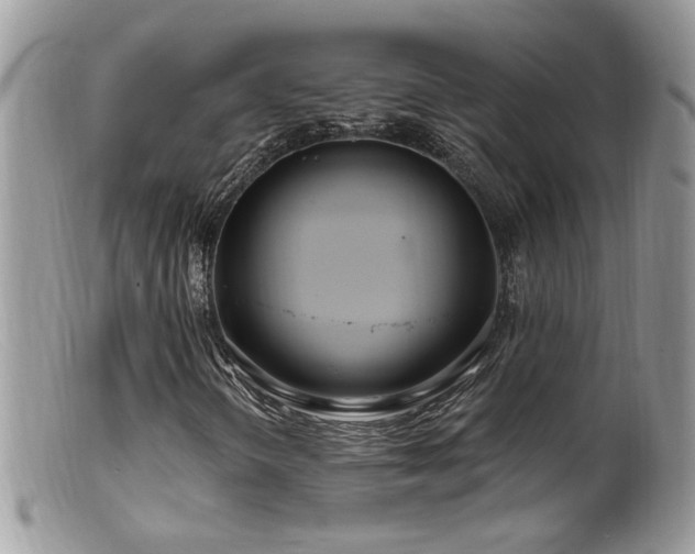 X0000099521298200805151514