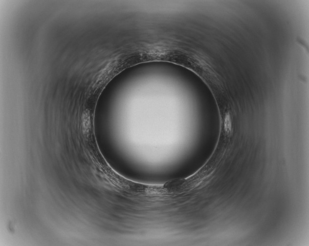 X0000099521299200805151515
