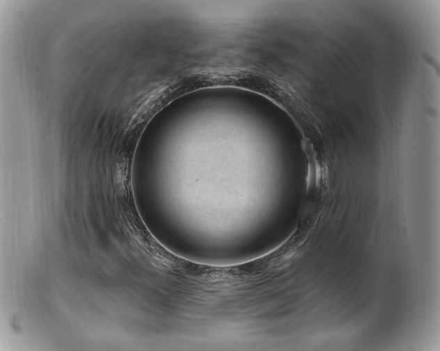 X0000099521300200805151515
