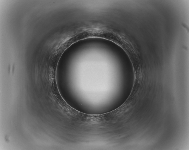 X0000099521301200805151515