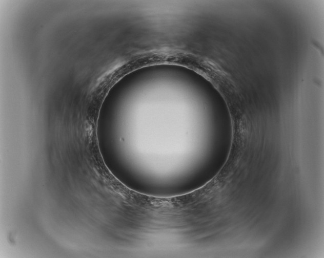 X0000099521302200805151515