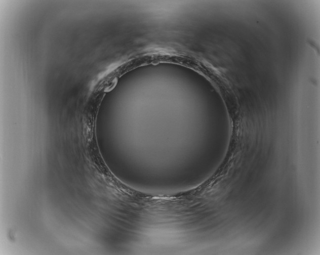 X0000099521303200805151515