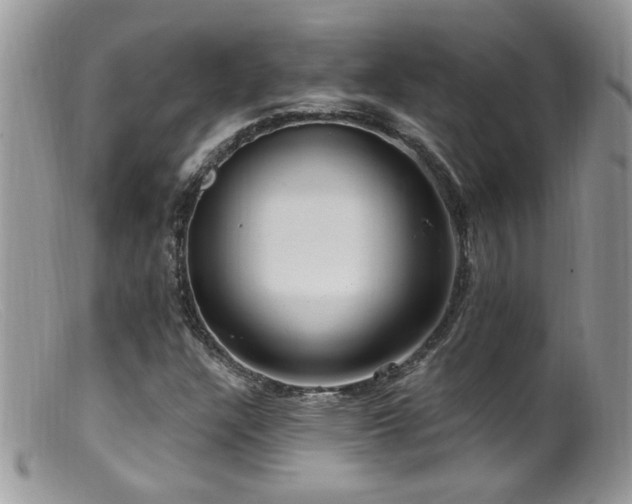 X0000099521304200805151515