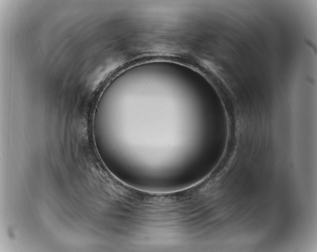 X0000099521307200805151515