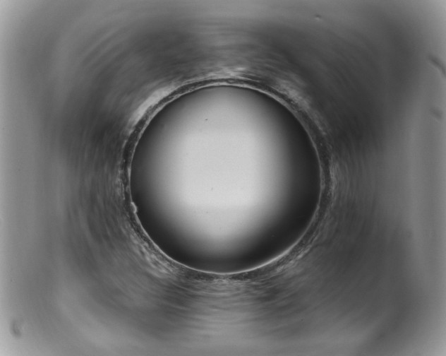 X0000099521308200805151515