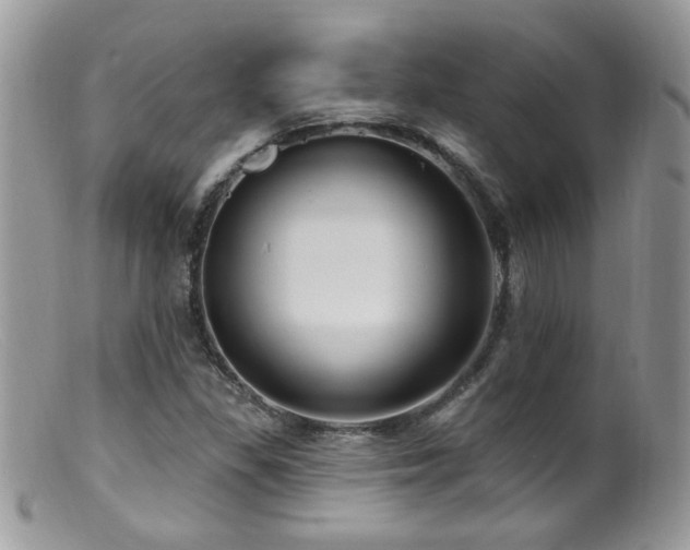 X0000099521309200805151515