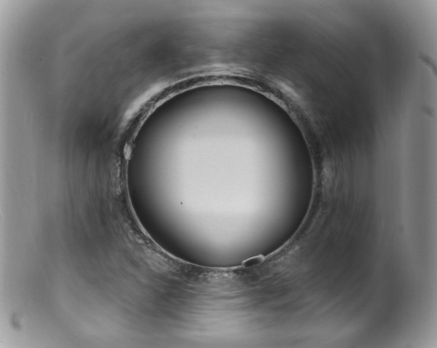 X0000099521310200805151515