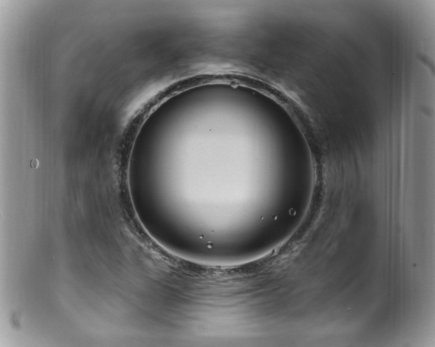 X0000099521311200805151515