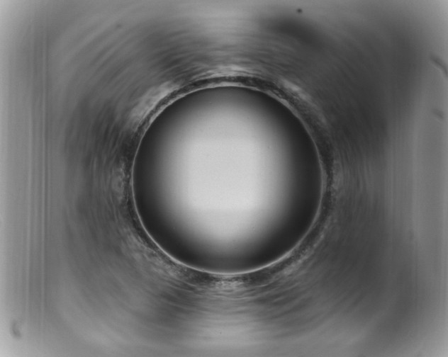 X0000099521313200805151515