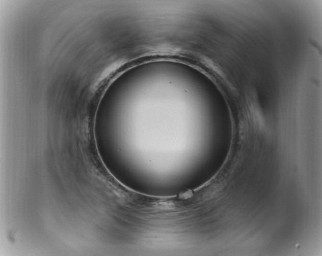 X0000099521315200805151515