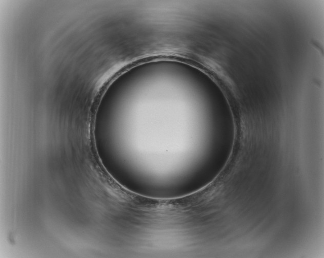 X0000099521316200805151515