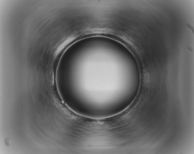 X0000099521317200805151515