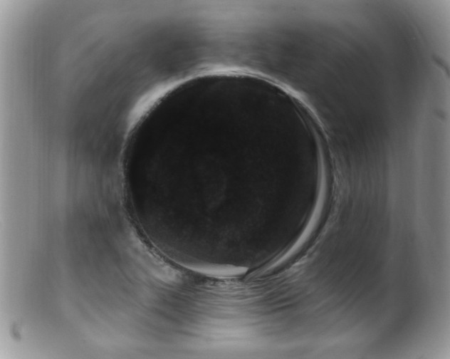 X0000099521319200805151515