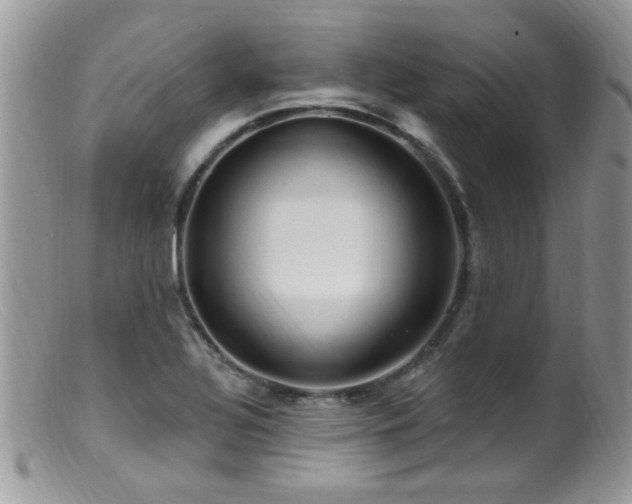 X0000099521320200805151515