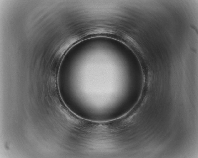 X0000099521321200805151515