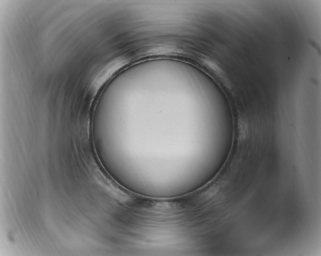 X0000099521322200805151515