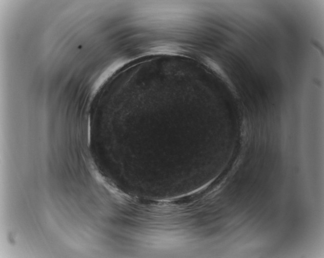 X0000099521323200805151515