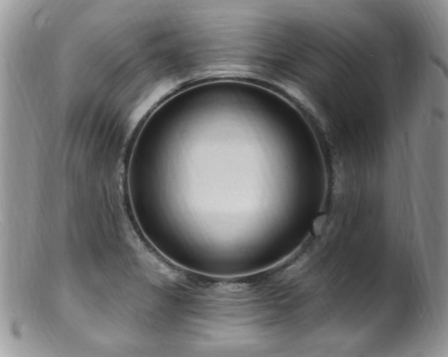 X0000099521325200805151515