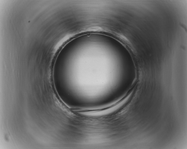 X0000099521326200805151515