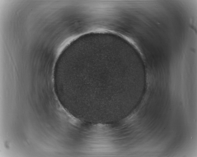 X0000099521327200805151515