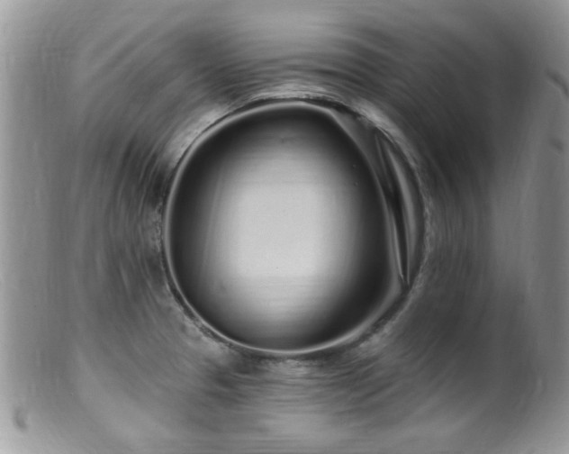 X0000099521329200805151515