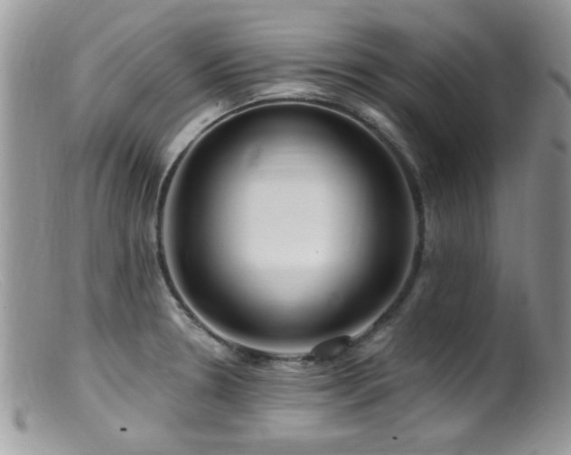 X0000099521330200805151515