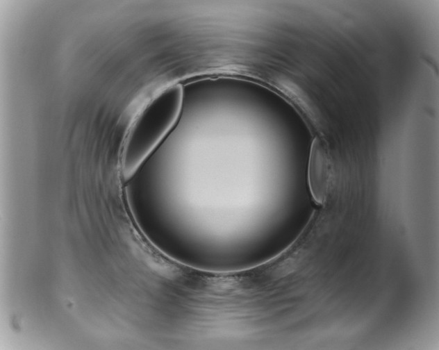 X0000099521332200805151515