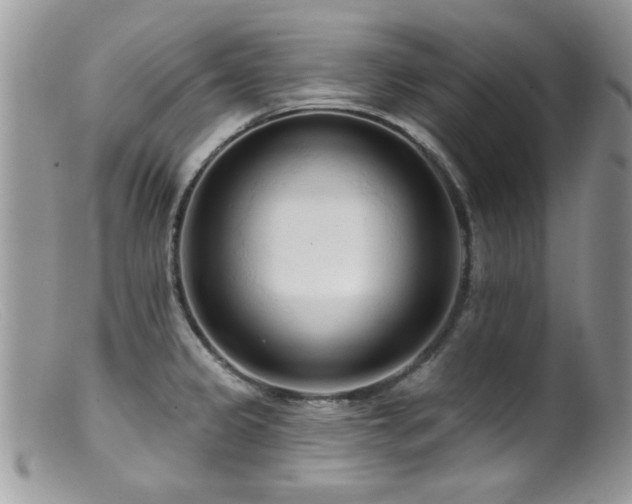 X0000099521333200805151515