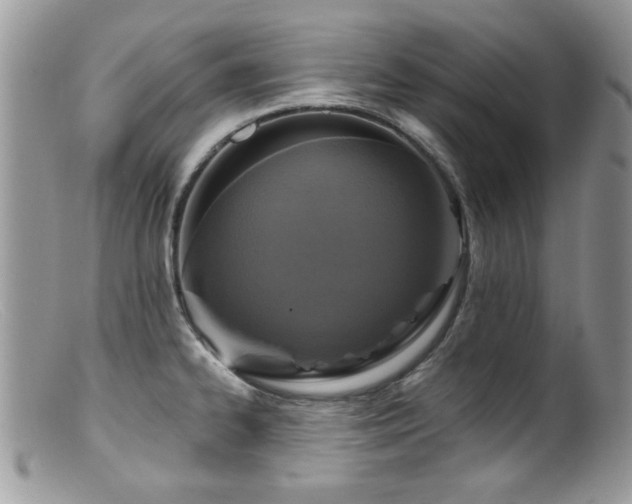 X0000099521334200805151515