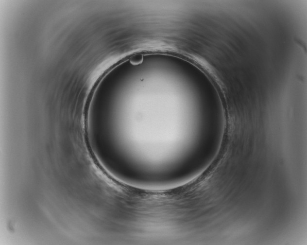 X0000099521335200805151515
