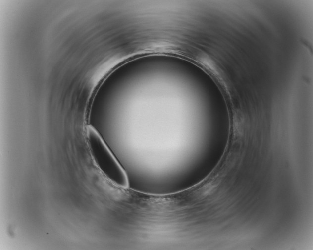 X0000099521336200805151515