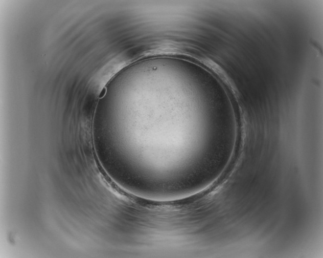 X0000099521337200805151515