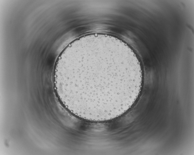X0000099521338200805151515