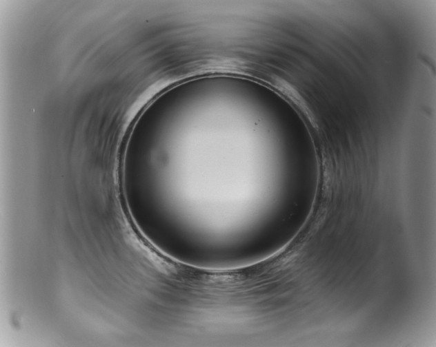 X0000099521339200805151515