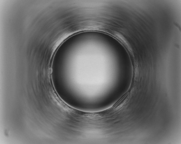 X0000099521340200805151515