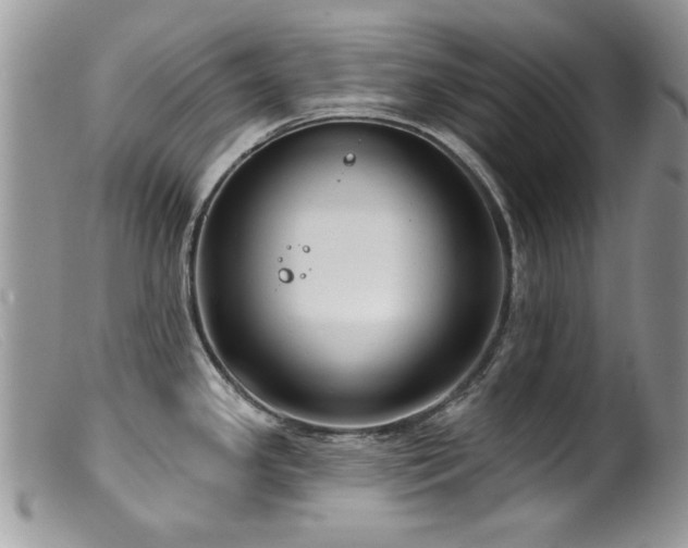 X0000099521341200805151515