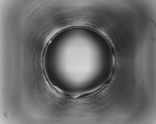 X0000099521342200805151515