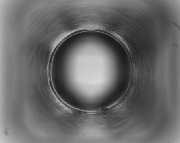 X0000099521343200805151515